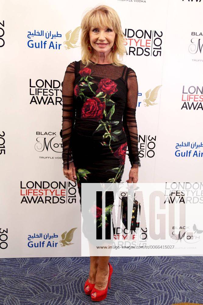 London Lifestyle Awards 2015 London, UK. Sue Vanner at London Lifestyle Awards, London, Britain on Wednesday 28 October 2015. LMK381 -50408-291015