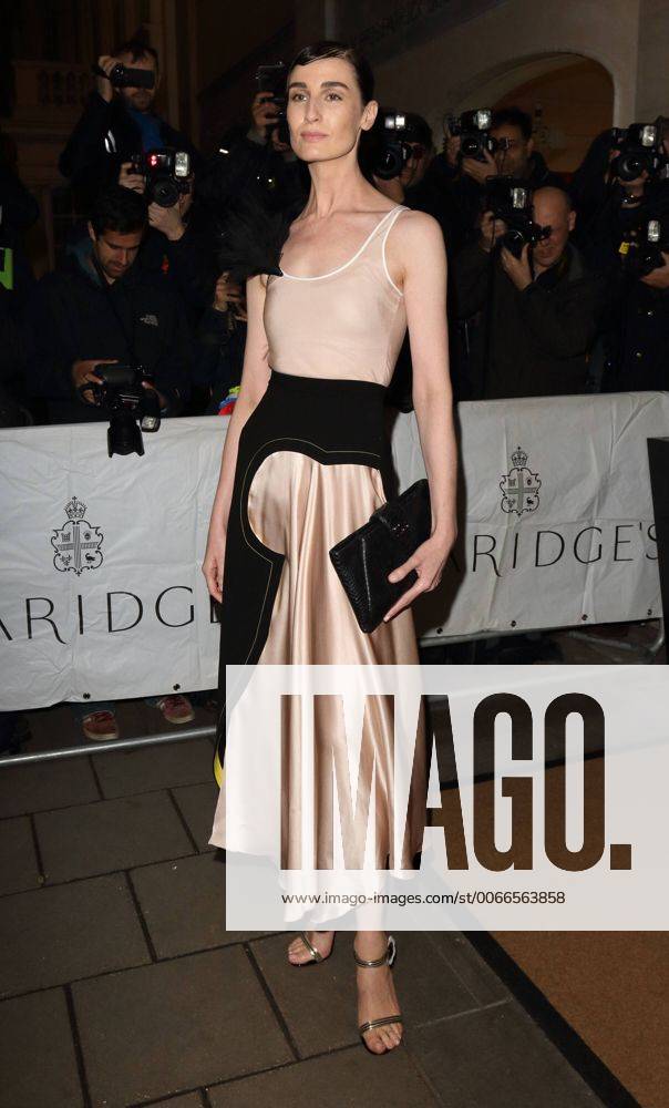 Harpers Bazaar Women of the Year Awards 2015 London, UK. Erin O Connor at Harpers Bazaar Women of the Year Awards at Claridges, London on November 3rd 2015. LMK73-58657-041115