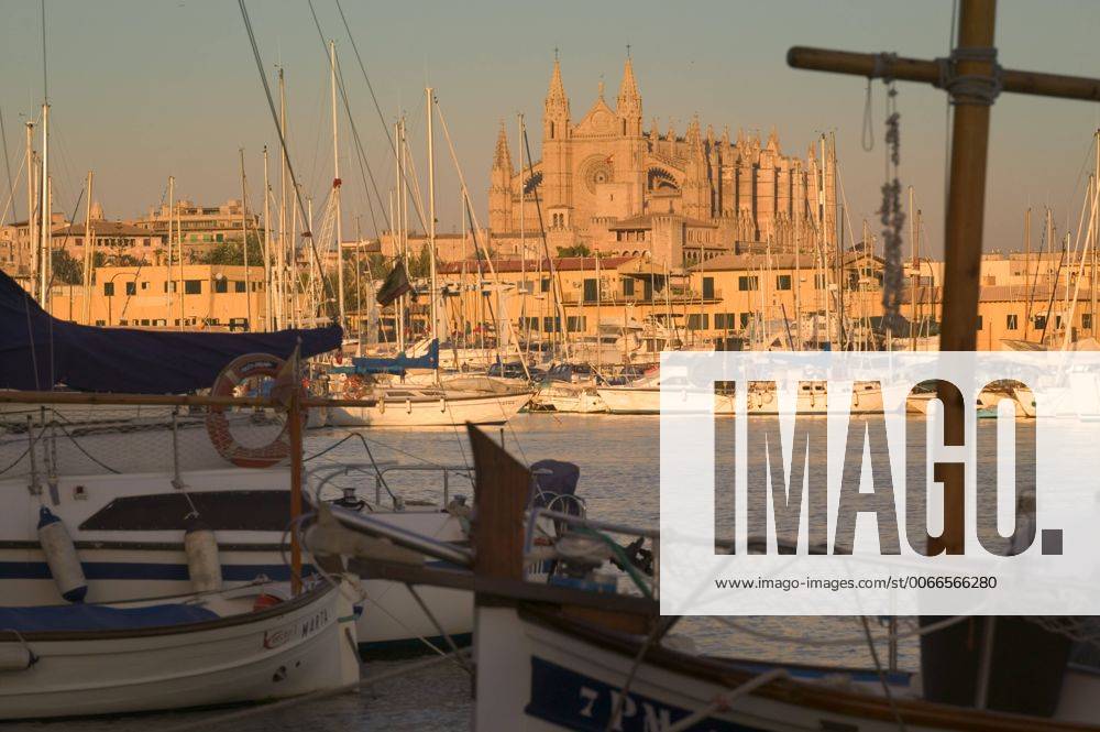 Spain, balearic islands, mallorca, palma de mallorca view of the cathedral across the port.