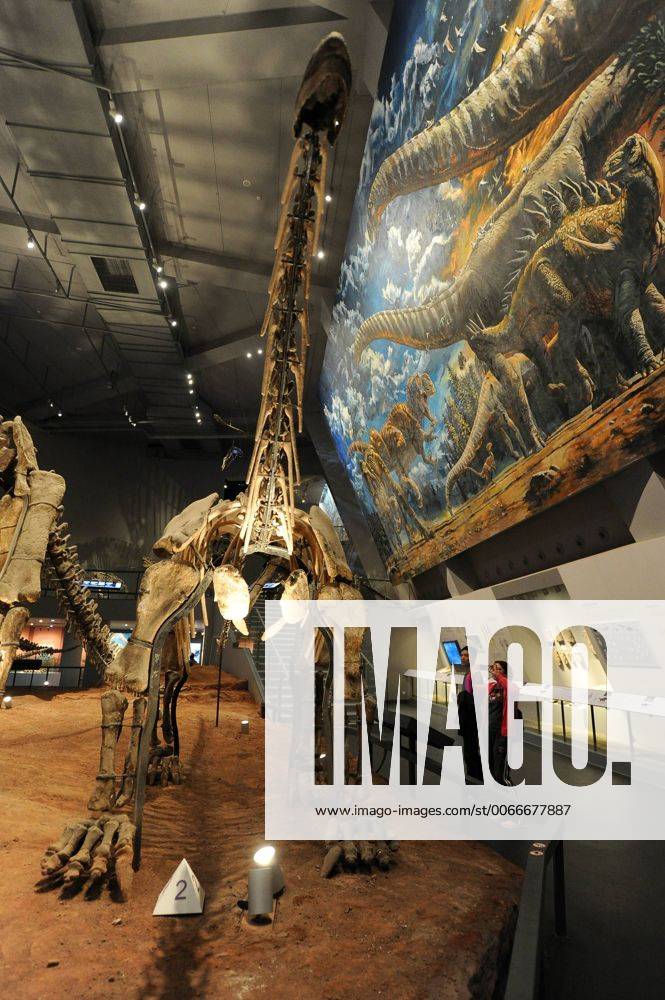 (151109) -- CHONGQING, Nov. 9, 2015 -- Visitors take photos besides a dinosaur fossil in the new venue of Chongqing Museum of Natural History in southwest China s Chongqing Municipality, Nov. 9, 2015. With an investment of nearly 400 million yuan (around 63 million US dollars), the new venue of Chongqing Museum of Natural History opened to the public on Monday. The universal museum contains more than 110,000 exhibits, covering the fields of astronomy, geography and biology. ) (zhs) CHINA-CHONGQING-MUSEUM-NATURE (CN) TangxYi