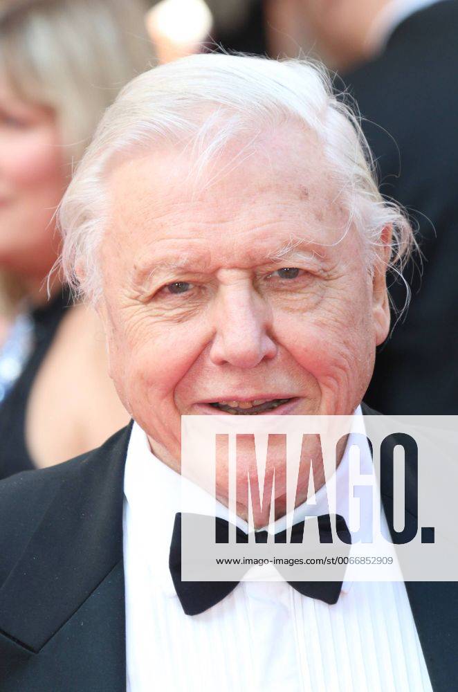 IMAGO ICONS: Sir David Attenborough May 18, 2014 - London, London, UK - UK. David Attenborough, Arqiva British Academy Television Awards - BAFTA, Theatre Royal Drury Lane, London UK, 18 May 2014. Photo credit : Richard Goldschmidt Piqtured LNP - ZUMAl94