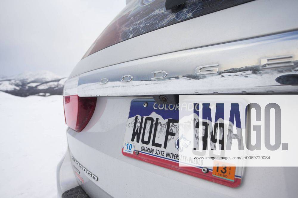 Car with number plate indicating support for wolves, Yellowstone National Park, USA, February. 1511771 PeterxCairns