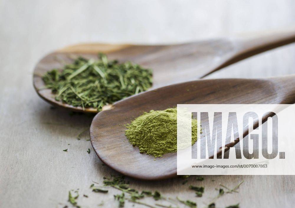 Moringa oleifera, powder and chopped leaves on wooden spoons GSF001063