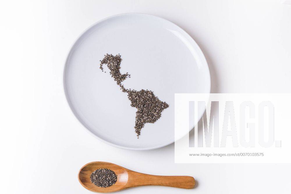Chia seeds on plate shaped like a map of latin america with wooden spoon FLF001312