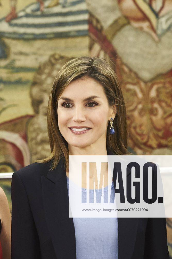 Madrid, Madrid, Spain - Queen Letizia of Spain attends an Audience to a representation of the Spanish Association against Leukodystrophy-ELA Spain at Palacio de la Zarzuela on April 1, 2016 in Madrid Madrid Spain - ZUMAg15_
