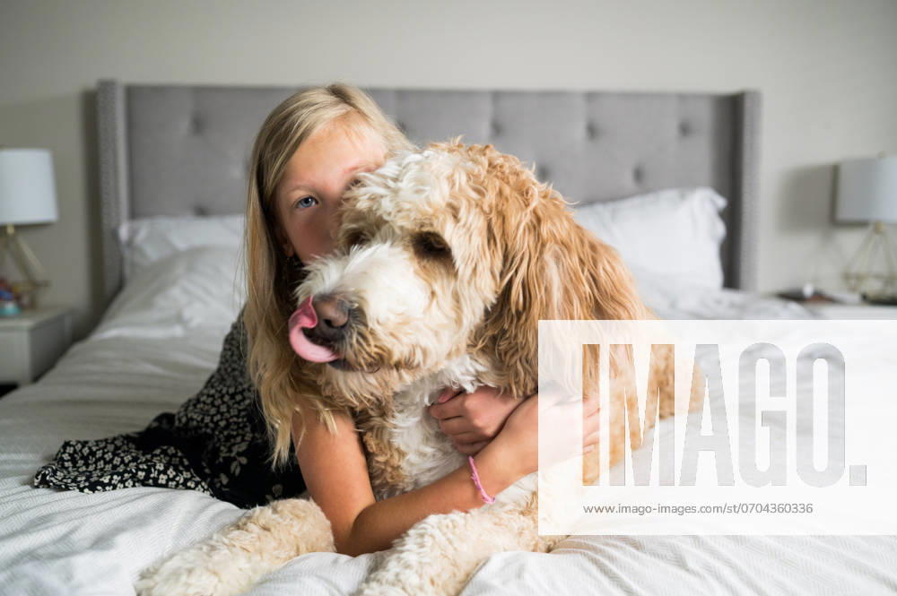 Pre-teen girl and fluffy dog lay on a bed Syracuse, Utah, United States R_WMWJ240627-1461484-01 ,model released, Symbolfoto