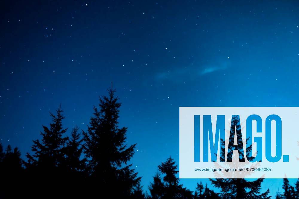 Night forest with pine trees, dark night sky and many stars. Night forest landscape ,model released, Symbolfoto