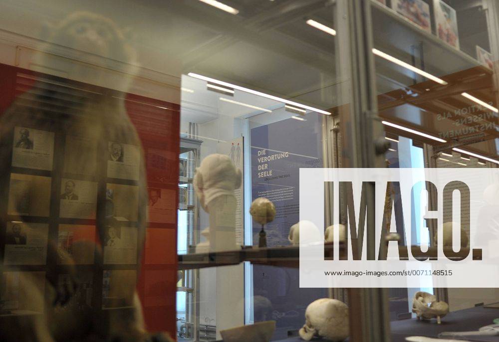 Im Medizinhistorischen Museum der Charite in Berlin wird eine Ausstellung gezeigt, die sich mit dem Verständnis von Seele und Körper in der Antike befasst. Dabei sind einzelne Aufsteller mit Texten und Graphiken sowie Texttafeln und kleinere Exponate in die bestehende Dauerausstellung mit ihren Exponaten, die hauptsächlich aus Präparaten menschlicher Organe und Knochen besteht, eingebunden. Ausstellung Die Seele ist ein Oktopus - antike Vorstellungen vom belebten Körper