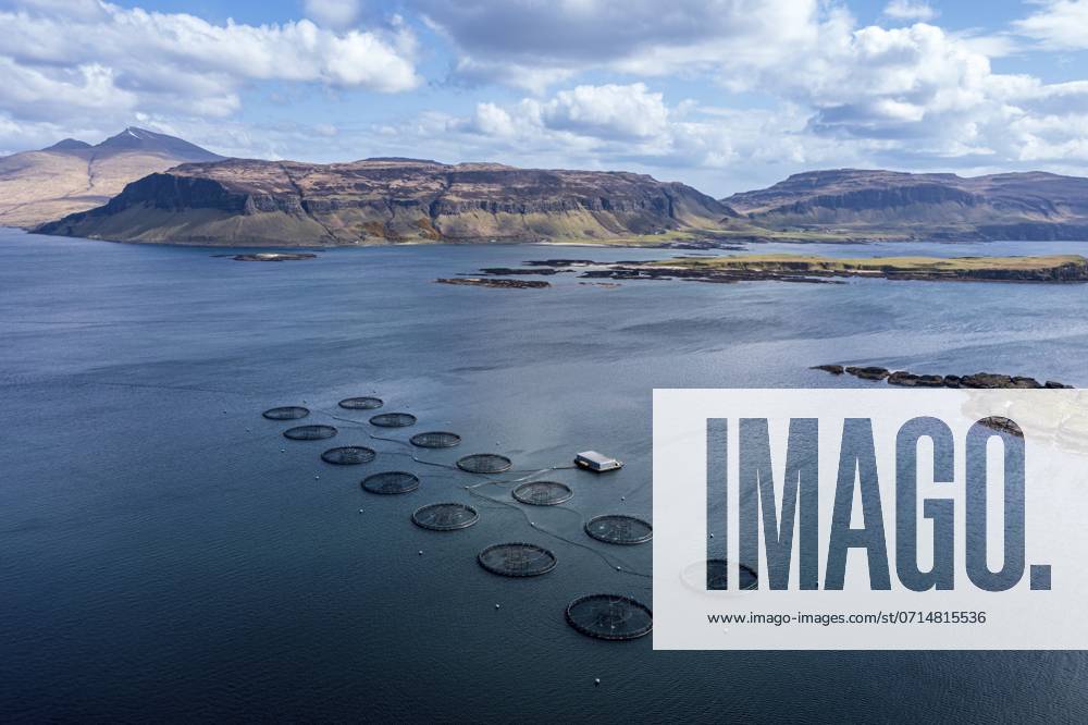 Floating Cages of a Salmon farm, Sea between Isle of Ulva and Isle of Gauze, Mt Ben More Mull in The back, Aerial view, Scotland, UK