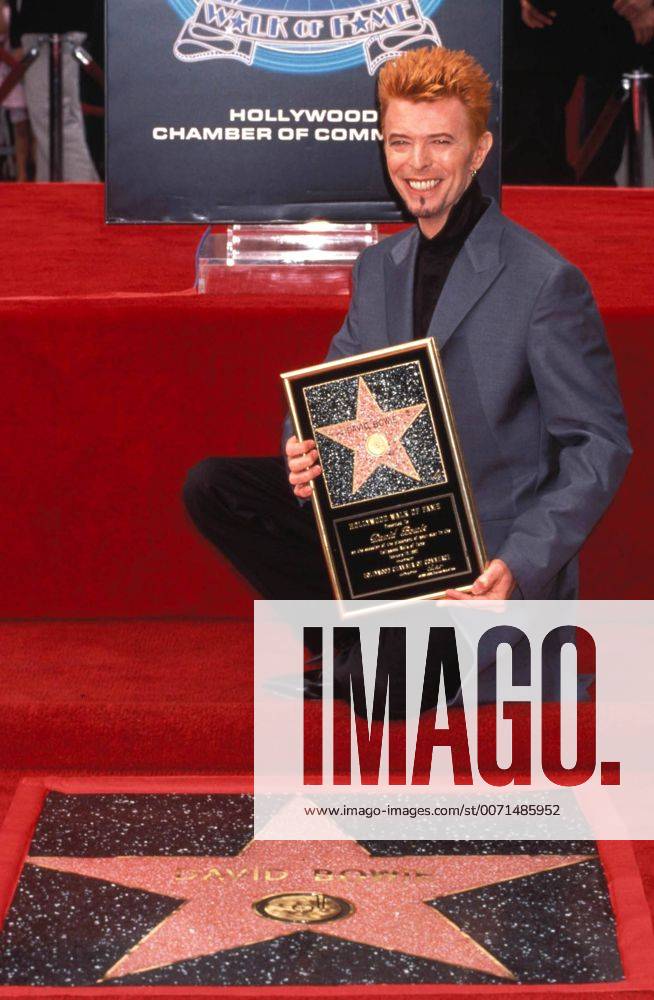 Jan. 1, 2011 - HOLLYWOOD WALK OF FAME.HONORS DAVID BOWIE. LISA ROSE 1997. - ZUMAg49_