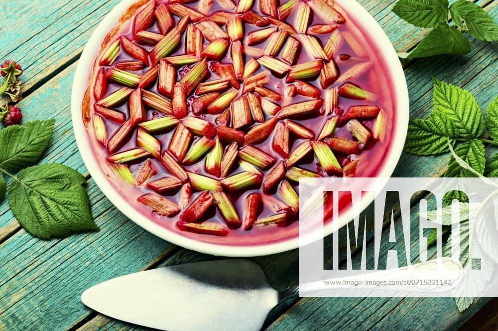 Jellied pie or cake with rhubarb stalks and raspberries. Summer sweet dessert.. Yummy pie with rhubarb and raspberries,summer pie ,model released, Symbolfoto