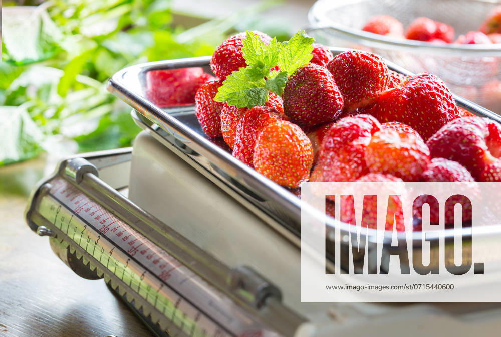 IMAGO Creative, Jahreszeit Sommer, Food, Marmelade kochen Strawberry jam cooking weigh the strawberries.. Strawberry jam cooking weigh the strawberries ,model released, Symbolfoto