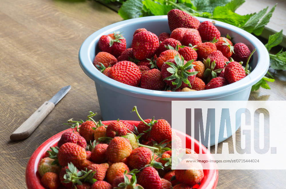 IMAGO Creative, Jahreszeit Sommer, Food, Marmelade kochen Strawberry jam cooking preparation of strawberries.. Strawberry jam cooking preparation of strawberries ,model released, Symbolfoto