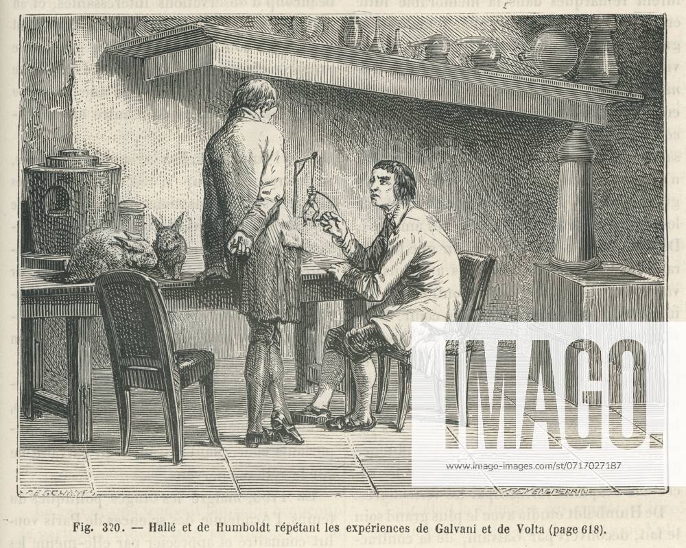 The wonders of science Hallé and Alexander von Humboldt repeating the experiments of Italian physicists Luigi Galvani and Alessandro Volta on the contraction of a muscle stimulated by an electric current. 19th century Illustration from Les Merveilles de la science ou description populaire des inventions modernes written by Louis Figuier and published in 1867 by Furne, Jouvet et Cie.