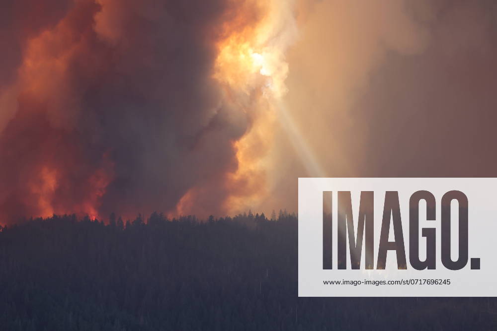 KW 30 Fires Rage Across US West Handout photo shows firefighters battling against to flames on July 26, 2024 in California, USA. California s largest active fire exploded in size on Friday evening, growing rapidly amid bone-dry fuel and threatening thousands of homes as firefighters scrambled to meet the danger. The Park Fire s intensity and rapid spread led fire officials to make unwelcome comparisons to the monstrous Camp Fire, which burned out of control in nearby Paradise in 2018, killing 85 people and torching 11,000 homes. More than 130 structures have been destroyed by this fire so far, and thousands more remain threatened. It stood at 374 square miles (967 square kilometers) on Friday night and was moving fast after igniting Wednesday whe