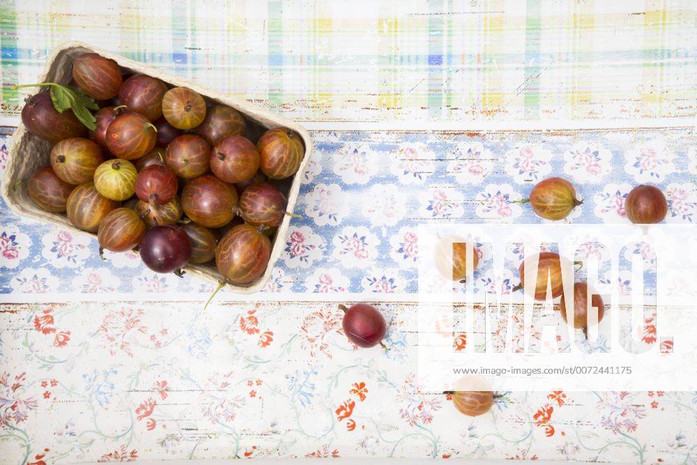 Cardboard box of red gooseberries LVF005090