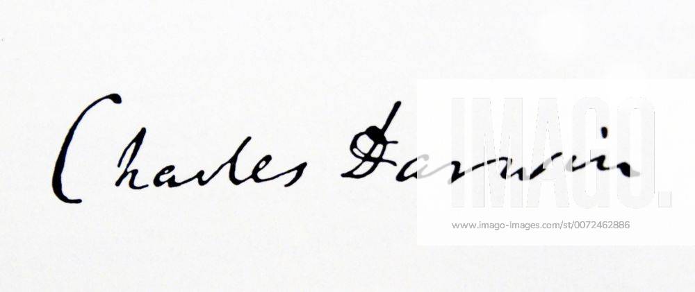 Signature of Charles Darwin (1809-1882) an English naturalist and geologist. Dated 19th Century WorldxHistoryxArchive