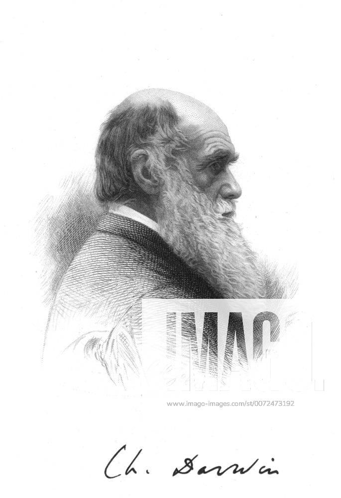 Charles Darwin (1809-1882) English naturalist. A pioneer of theory of Evolution by Natural Selection. Engraving and signature WHA !ACHTUNG AUFNAHMEDATUM GESCHÄTZT!