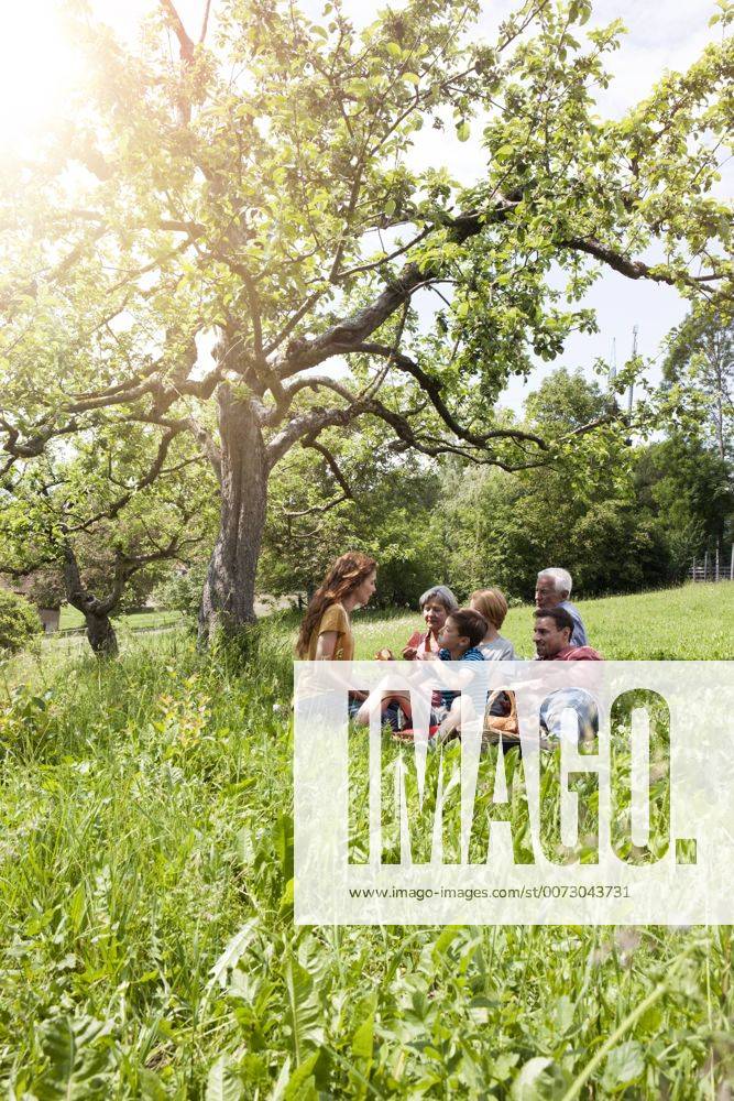 Extended family having a picnic in meadow model released Symbolfoto RBF004781
