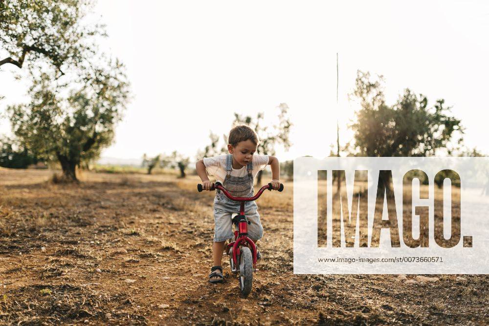 Little boy with children s bike on a field model released Symbolfoto JRFF000818