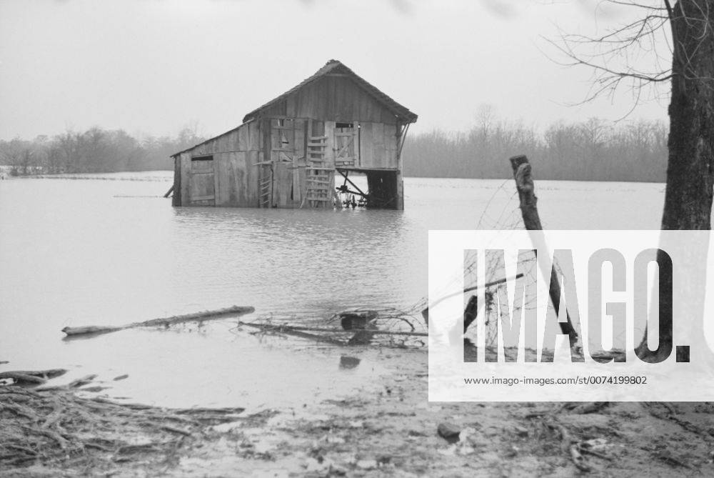Farm Covered with Floodwaters, near Ridgeley, Tennessee, USA, Walker Evans for Farm Security Administration, February 1937 - ZUMAg145 20160725_zza_g145_006