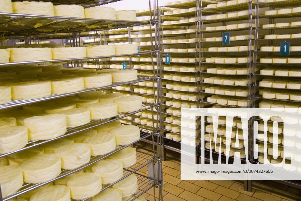 France, Briouze, Gillot Dairy, production of camembert cheese, drying room