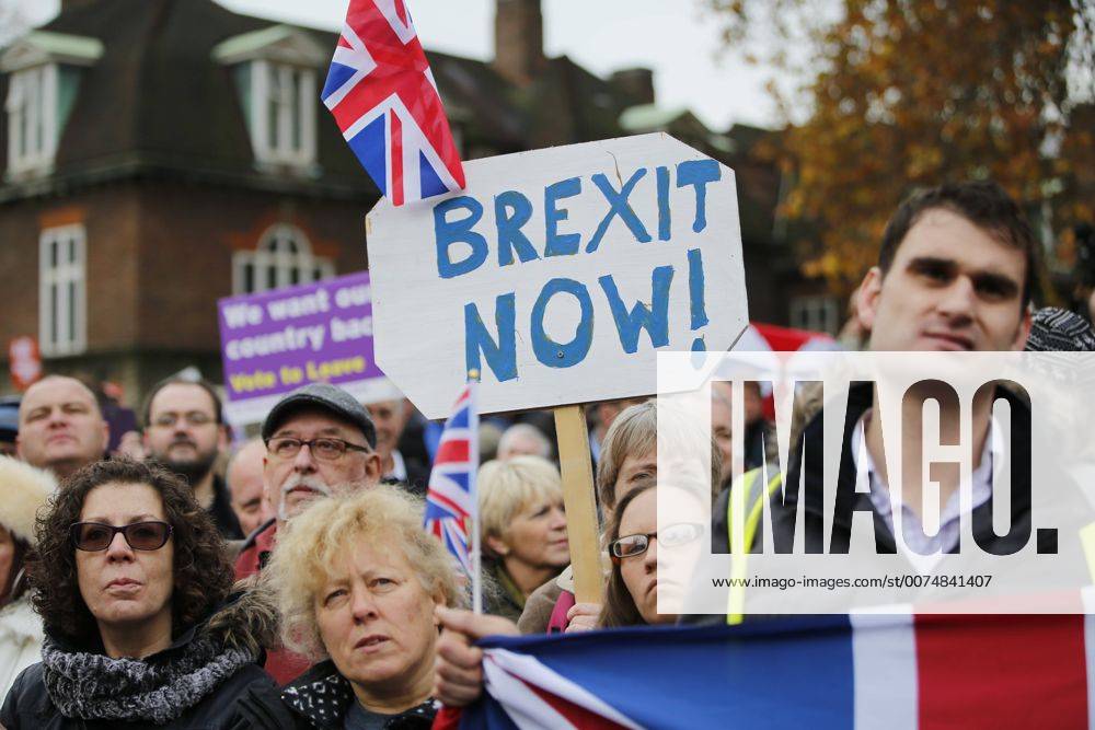 London, London, UK - London, UK. Demonstration outside The Houses of Parliamnet in London to oppose the High Court s ruling earlier this month that the Article 50 process must be triggered by an act of Parliament. London UK - ZUMAl94_ 20161123_zaf_l94_059