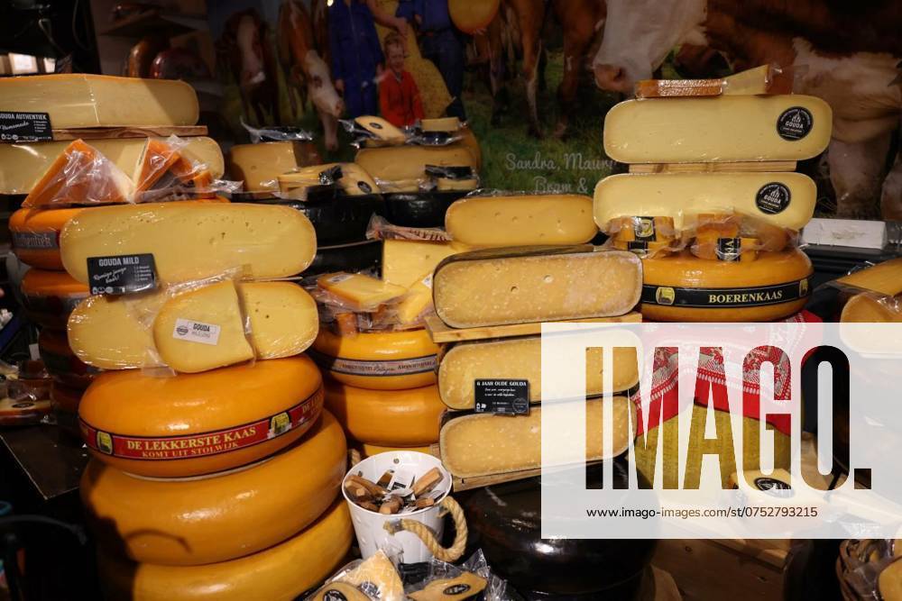 Display of traditional Dutch cheese at local cheese shop in Gouda, the Netherlands, Gouda, the Nehterlands - April 20, 2023: Display of traditional Dutch cheese at local cheese shop in Gouda, the Netherlands, Gouda, the Nehterlands - April 20, 2023: Display of traditional Dutch cheese at local cheese shop in Gouda, the Netherlands, 07.12.2023,