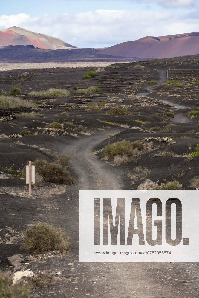 Typical landscape of Lanzarote. Canary Islands. Spain., Typical landscape of Lanzarote. Canary Islands. Spain., Typical landscape of Lanzarote. Canary Islands. Spain., 25.12.2023,