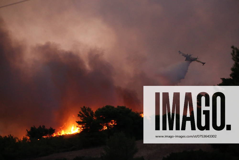 A firefighting aeroplane drops water during a fire north of Athens. Residents fled their homes on Sunday as a fast-moving wildfire fueled by hot, windy weather burned trees, houses and cars and sent smoke clouds over the Greek capital. Varnavas Greece - ZUMAv62_ 20240811_zaf_v62_041