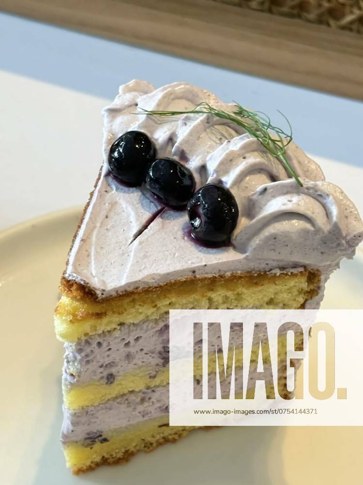 Slice of blueberry cake decorated with fresh berries on white plate, delicious layered cake, top view, slice of blueberry cake decorated with fresh berries on white plate, delicious layered cake, top view in the cafe, slice of blueberry cake decorated with fresh berries on white plate, delicious layered cake, top view in the cafe, 03.05.2024,