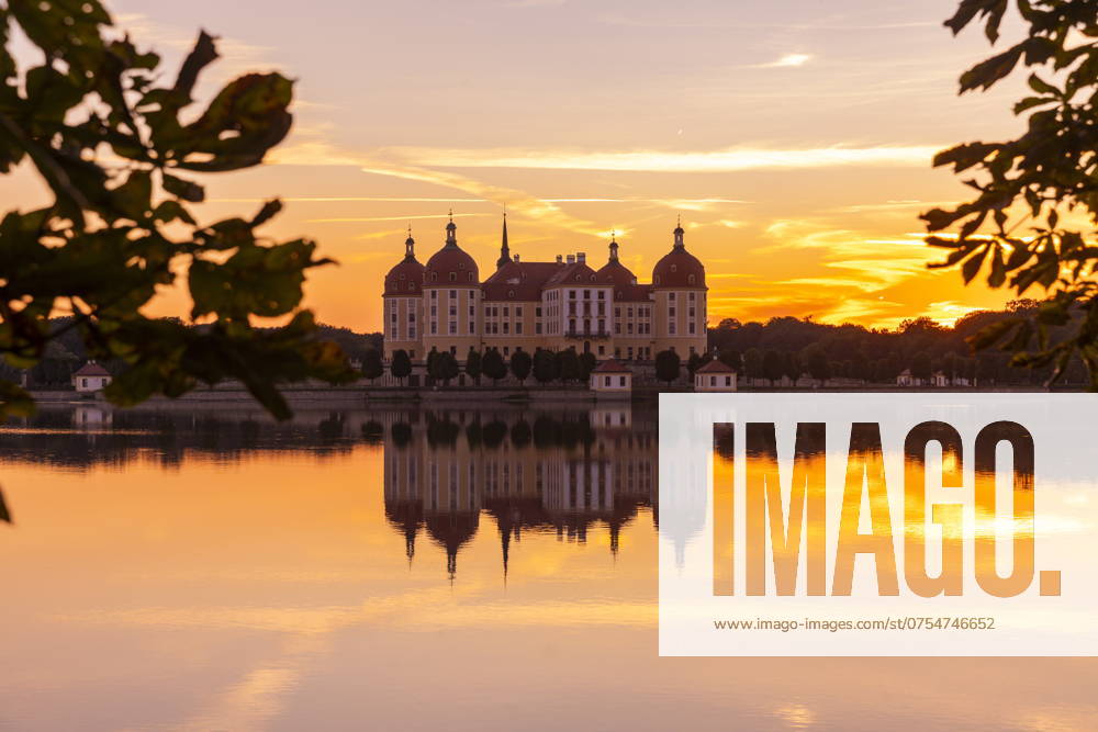 Moritzburg Baroque Castle The moated castle, also known as a film set, is located in the middle of a lake and is a popular destination for excursions A pair of swans have built their nest on the lakeshore Moritzburg Saxony Germany