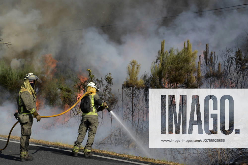 Forest fire in the municipality of San Cristovo de Cea Ourense Several firefighters try to put out the fire during the forest fire in the parish of Oseira, on August 20, 2024, in San Cristovo de Cea, Ourense, Galicia Spain The flames, which started around 16 30 hours, have burned an area of about 20 hectares Although at first they moved to the scene two agents, six brigades, four motorbombas, a shovel, a technician and three helicopters, later more resources had to be added to reach three technicians, nine agents, fourteen brigades, eight motor pumps, two shovels, eight airplanes and eight helicopters The column of smoke generated by the flames can be seen from several kilometers away 20 AUGUST 2024 FIRE OSEIRA SAN CRISTOVO DE CEA OURENSE