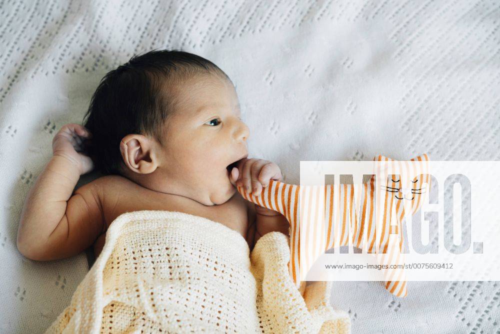 Newborn lying with toy cat on bed model released Symbolfoto GEMF01303