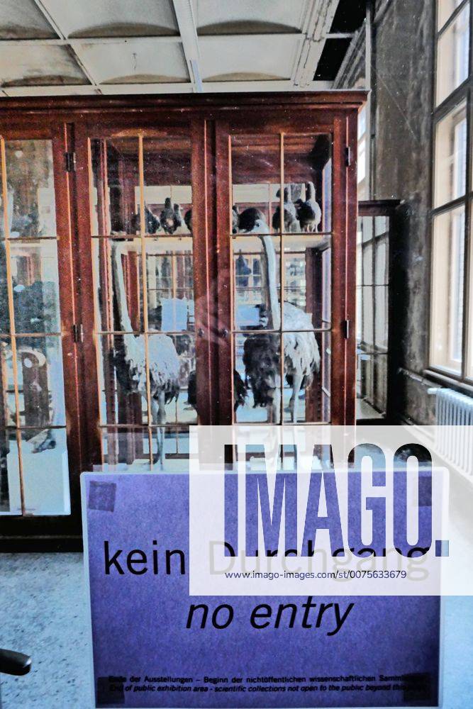 Berlin Mitte, Naturkundemuseum an der Invalidenstraße, kein Durchgang - nichtöffentliche wissenschaftliche Sammlung Naturkundemuseum