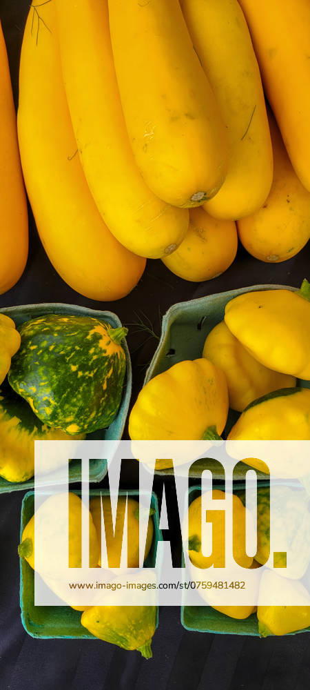 Yellow and pattypan squash in green cartons at a market stall Kelowna, British Columbia, Canada R_PESF240902-1529468-01