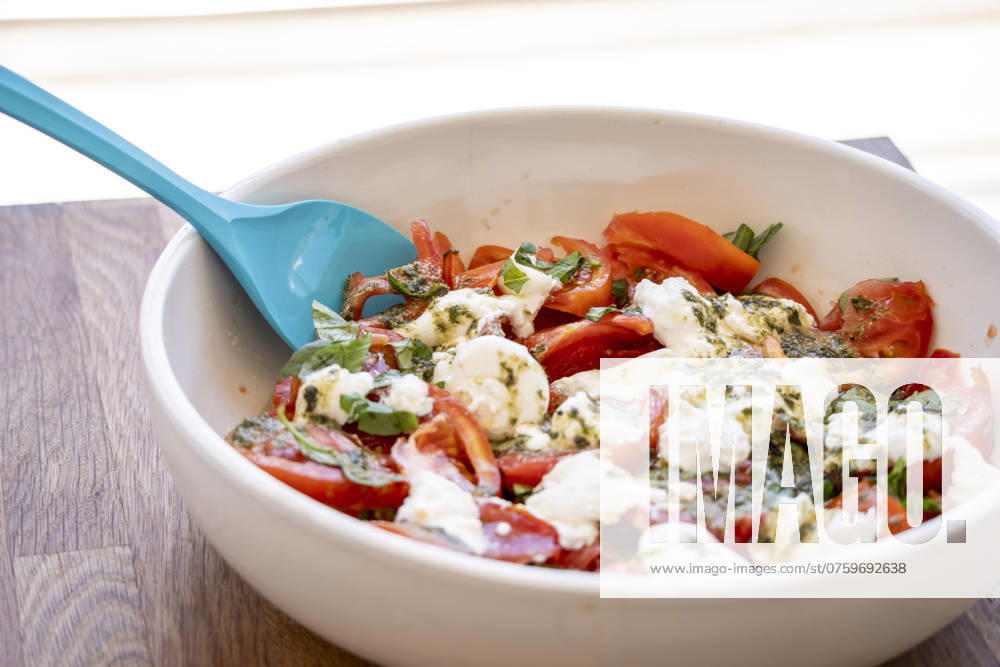 Burrata cheese salad with tomato and basil burrata cheese salad with tomato and basil, Mallorca, Balearic Islands, Spain