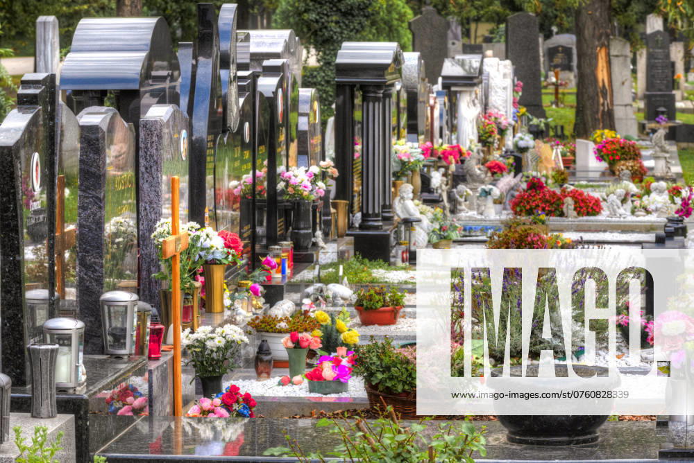 Grabsteine Bunt geschmückte, mit vielen Blumen dekorierte Grabsteine mit nicht identifizierbaren Namen in Schrägansicht mit Fluchtpunktperspektive auf dem Wiener Zentralfriedhof