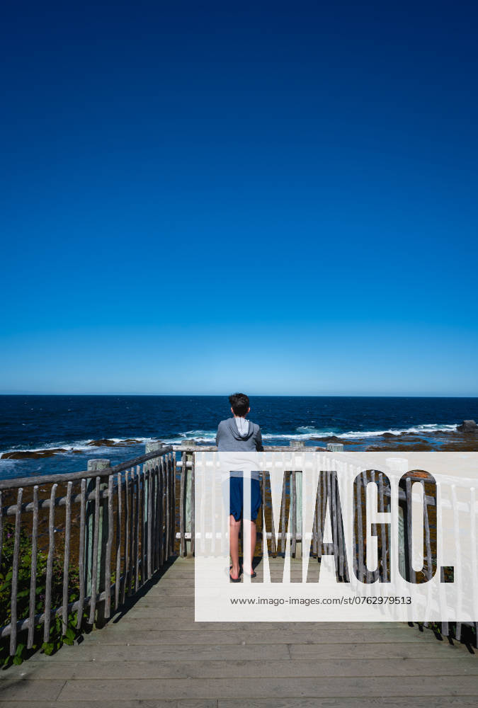 IMAGO Creative, Jahreszeit Sommer, Sommerferien Boy looking over weathered fence at ocean in Newfoundland. Rocky Harbour, Newfoundland and Labrador, Canada CR_DOHO240913I-1530865-01 ,model released, Symbolfoto