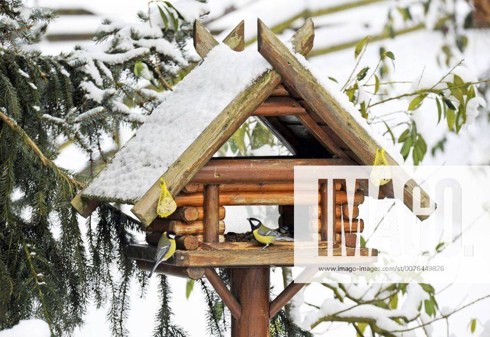 Vogelhaus im winterlichen Garten mit gefiederten Gaesten, Kohlmeisen Vogelhaus