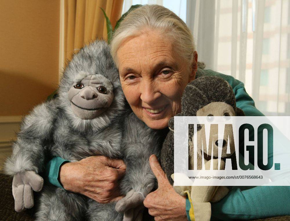 IMAGO ICONS: Jane Goodall Feb 08, 2006 - Toronto, ON, Canada - JANE GOODALL speaks to reporters in Toronto on September 13, 2007, accompanied by Mr. H., a gift she always takes on the road. - ZUMAt14_ 20060208_mdm_t14_396