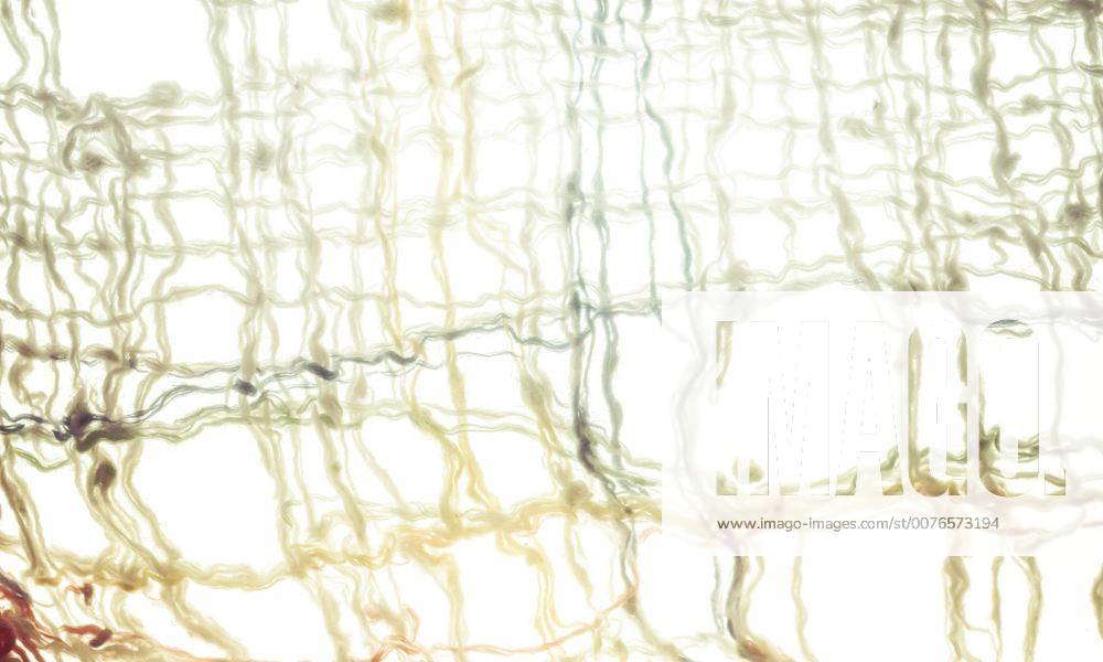 Fabric against white background CMF00629