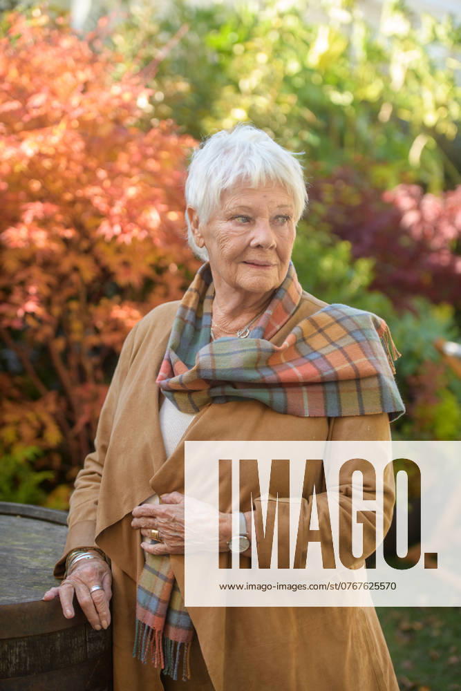 Judi Dench 4th October 2024. Dame Judi Dench at the Times and Sunday Times Cheltenham Literature Festival.
