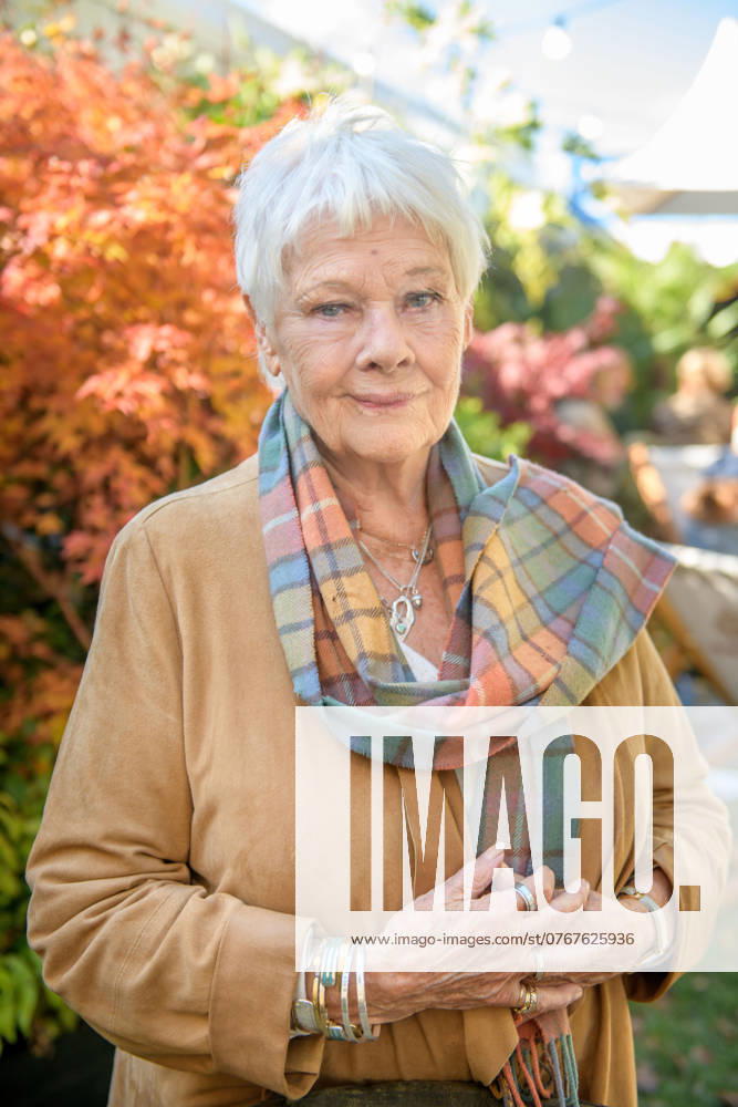 Judi Dench 4th October 2024. Dame Judi Dench at the Times and Sunday Times Cheltenham Literature Festival.
