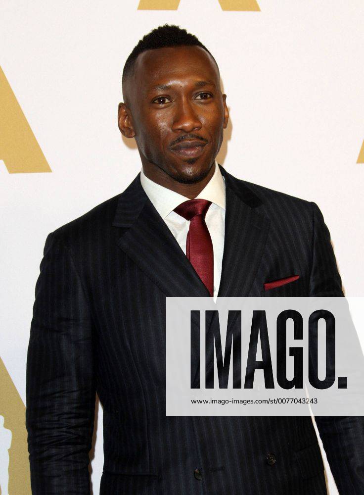 Beverly Hills, CA, United States - 6 February 2017 - Los Angeles, California - Mahershala Ali... 89th Oscars Nominees Luncheon held in the Grand Ballroom at the Beverly Hilton Hotel in Beverly Hills. Photo Credit: AdMedia Beverly Hills United States - ZUMAa123 20170206_zaa_a123_115