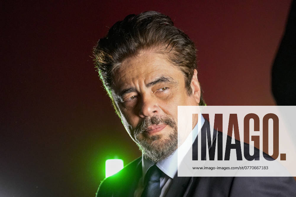 Benicio Del Toro in master class at the Festival Lumière 2024 in Lyon on 10 14 2024 Photo Sandrine Thesillat Panoramic PEOPLE Benicio Del Toro Festival Lumiere 2024 Lyon 10 14 2024 SandrineThesillat Panoramic