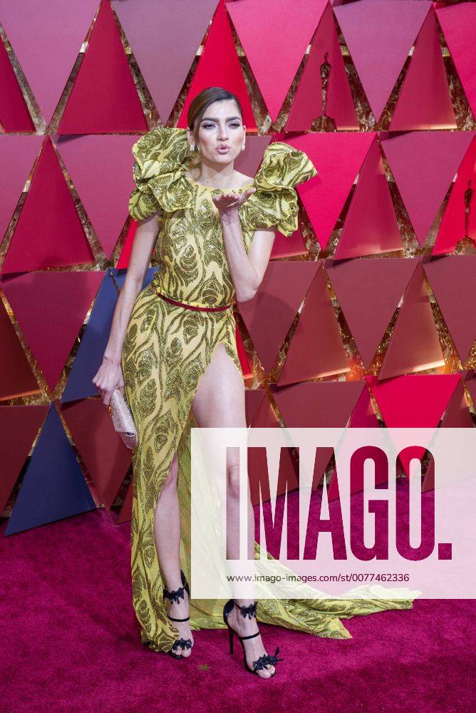 (170227) -- LOS ANGELES, Feb. 26, 2017 -- Actress Blanca Blanco arrives for the red carpet of the 89th Academy Awards at the Dolby Theater in Los Angeles, the United States, on Feb. 26, 2017. )(gj) U.S.-LOS ANGELES-OSCAR-RED CARPET YangxLei