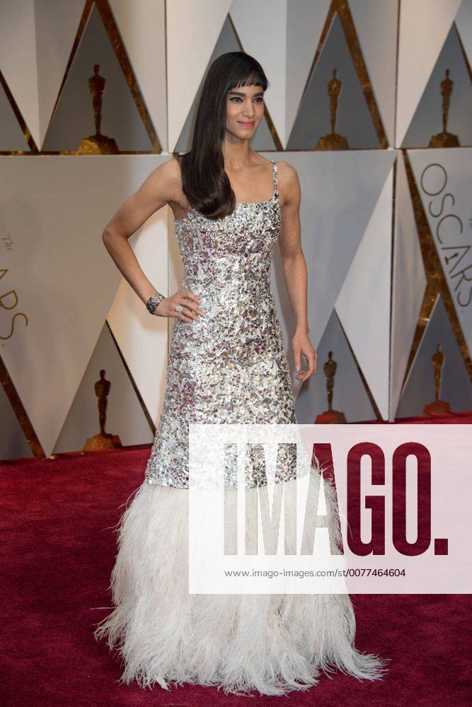 Feb 26, 2017 - Hollywood, California, U.S - Sofia Boutella arrives on the red carpet of The 89th Oscars at the Dolby Theatre in Hollywood, CA on Sunday, February 26, 2017. Hollywood U.S - ZUMAz03_ 20170226_sho_z03_244