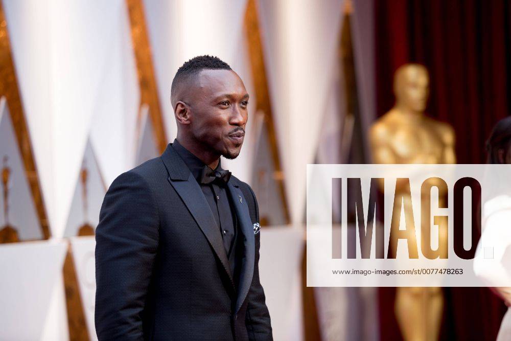 Feb 26, 2017 - Hollywood, California, U.S. - Oscar nominee MAHERSHALA ALI arrives at The 89th Oscars at the Dolby Theatre in Hollywood, CA on Sunday, February 26, 2017. Hollywood U.S. - ZUMAz03_ 20170226_sho_z03_831