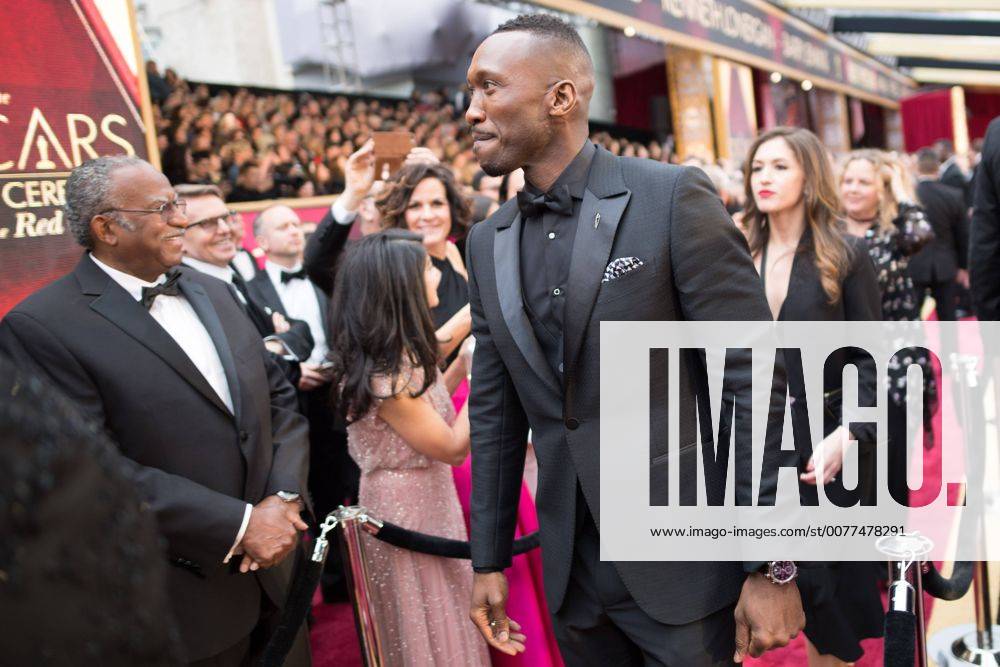 Feb 26, 2017 - Hollywood, California, U.S. - Oscar-nominee MAHERSHALA ALI arrives at The 89th Oscars at the Dolby Theatre in Hollywood, CA on Sunday, February 26, 2017. Hollywood U.S. - ZUMAz03_ 20170226_sho_z03_809